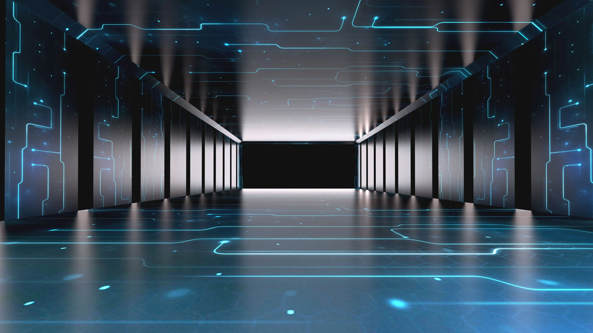 Dijital Lisans Nedir?